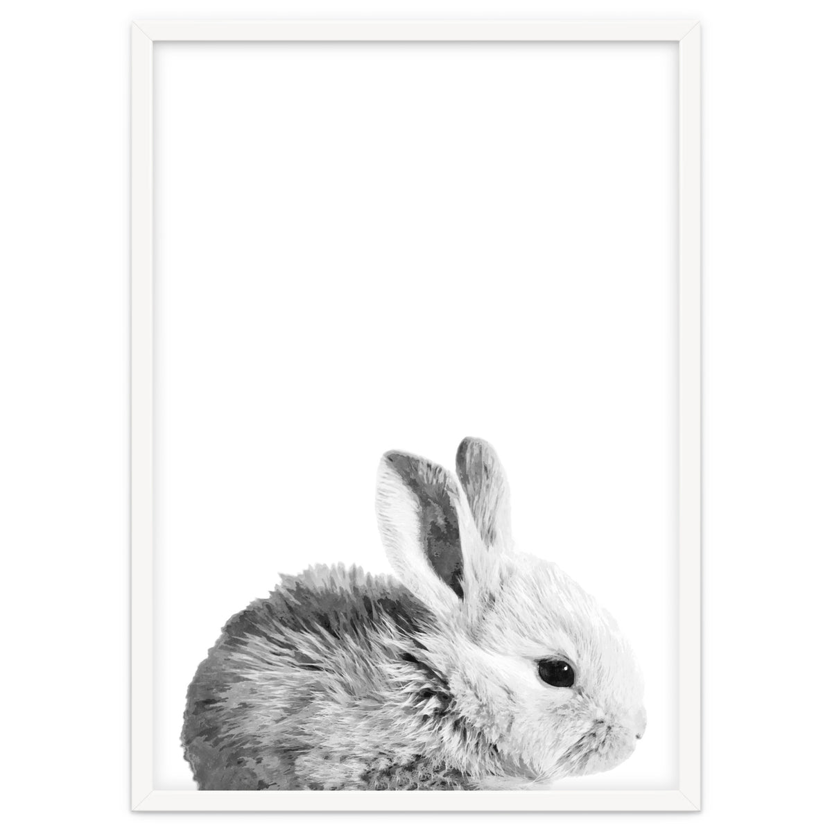 Black and White Bunny Portrait