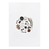 Treasures From Nature No. 2 (Print Only) thumbnail