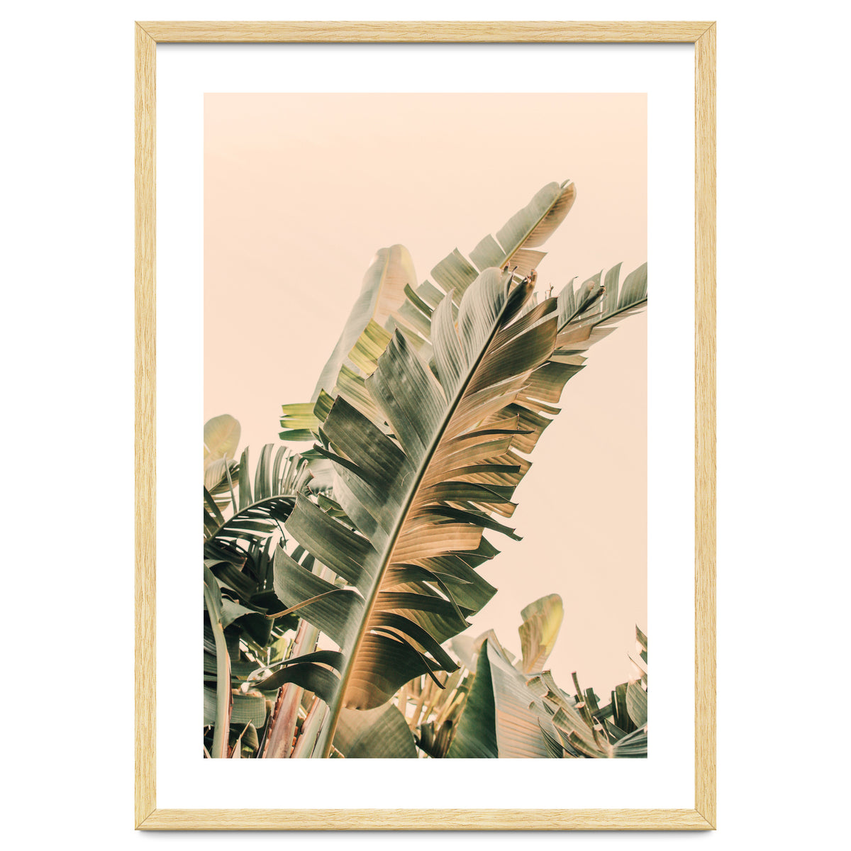 Growing Green Alicia Bock