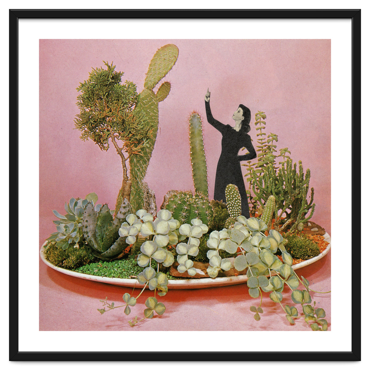 The Wonders Of Cactus Island