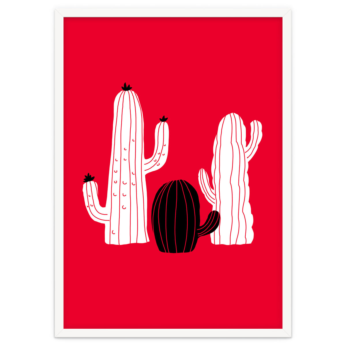 Cactus