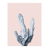 Cactus collection BL-I (Print Only) thumbnail