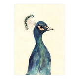 Peacock (Print Only) thumbnail