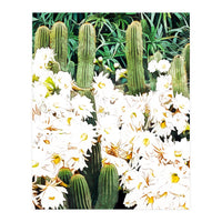 Cactus & Bloom (Print Only)