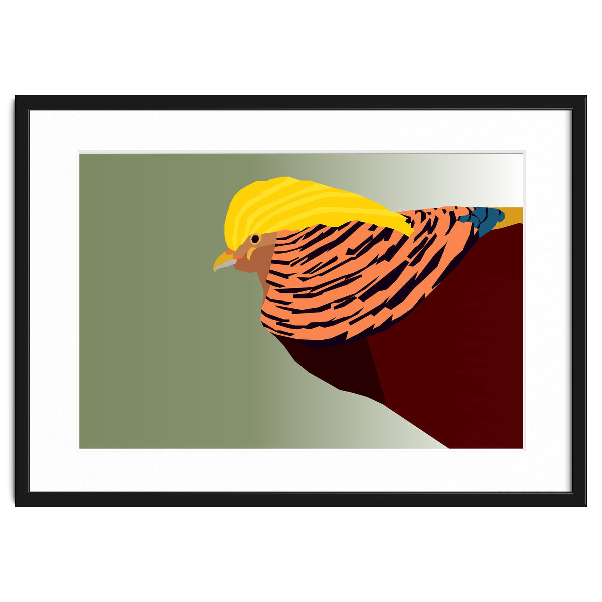 Golden Pheasant Bird Art