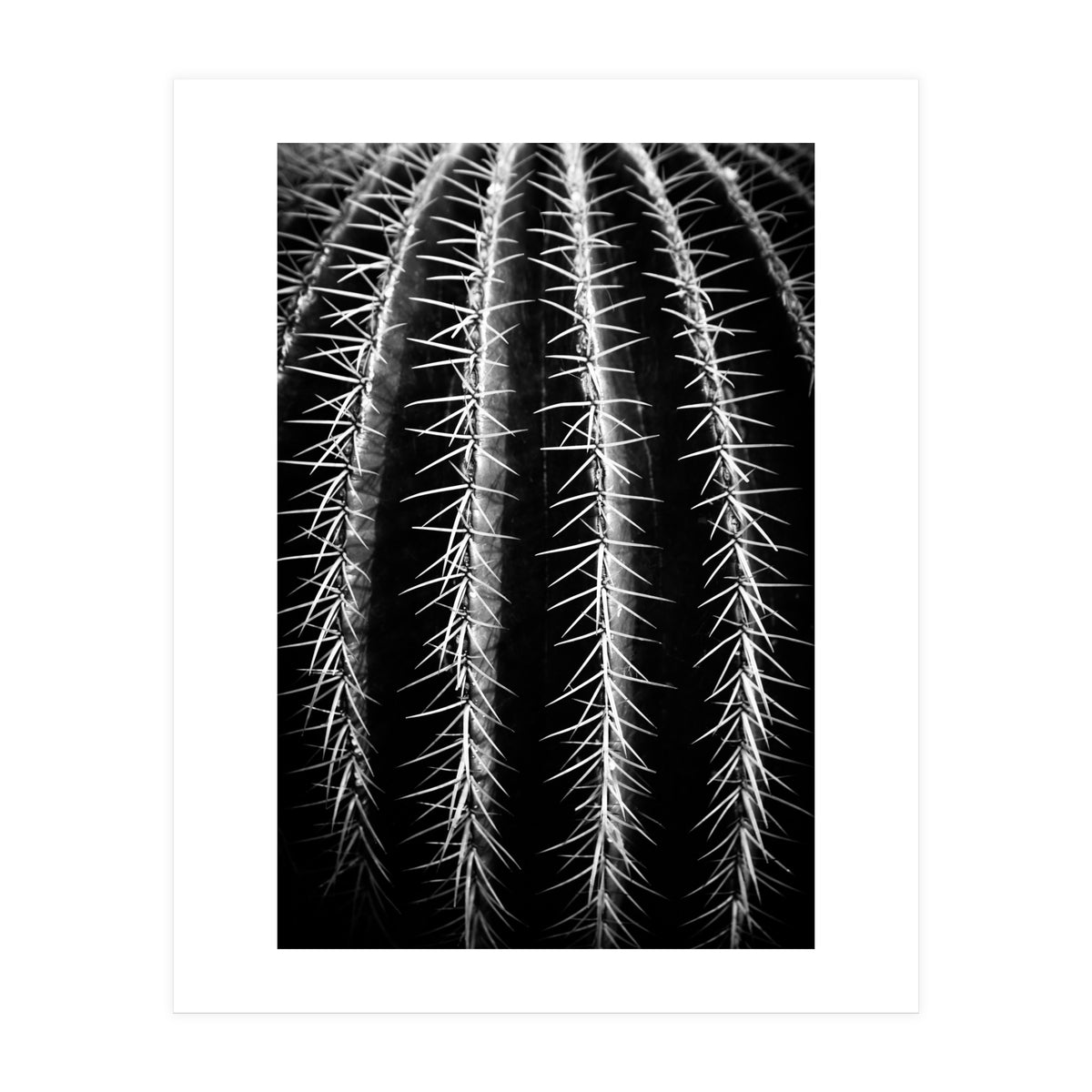 can't touch this (Print Only)