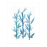Blue Bamboo (Print Only) thumbnail