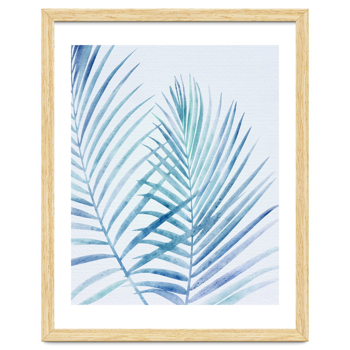 Coastal Palm Fronds
