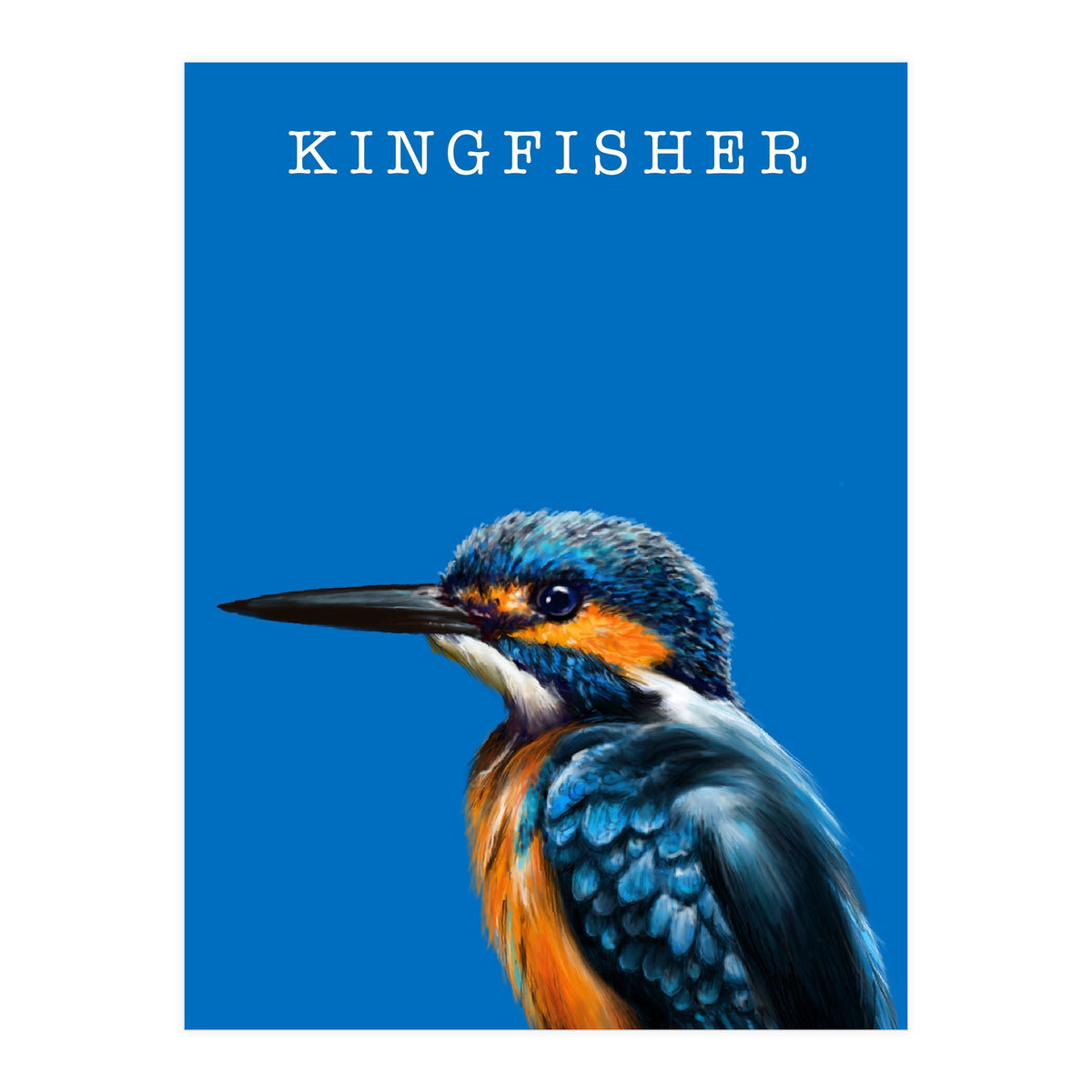 Kingfisher (Print Only)
