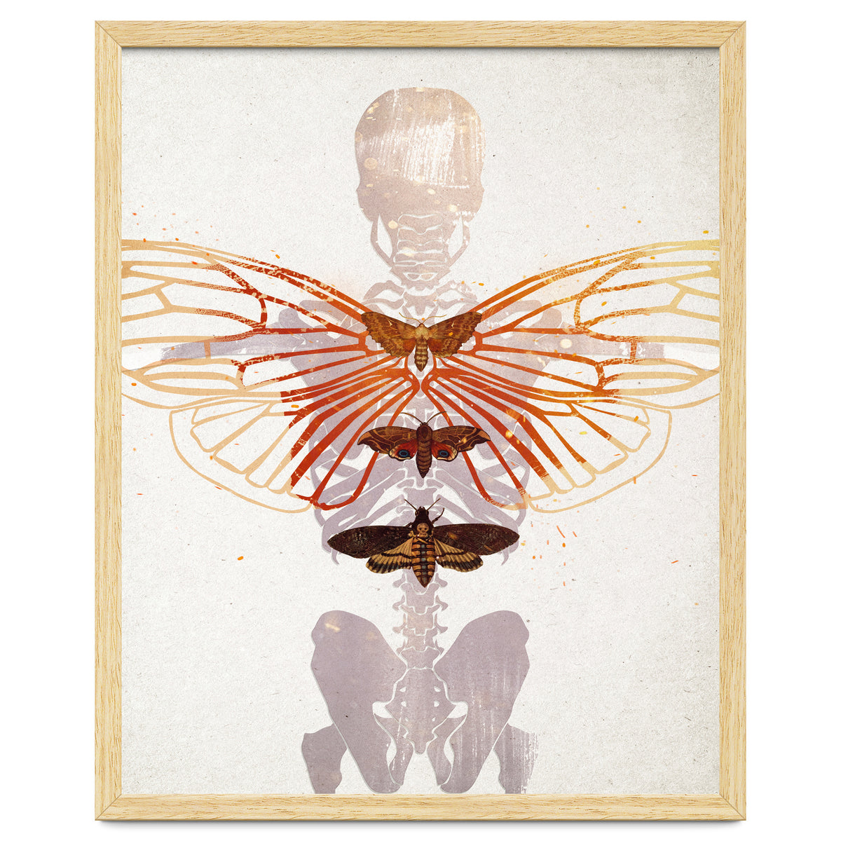 Ikarus - Like a Moth to the Flame