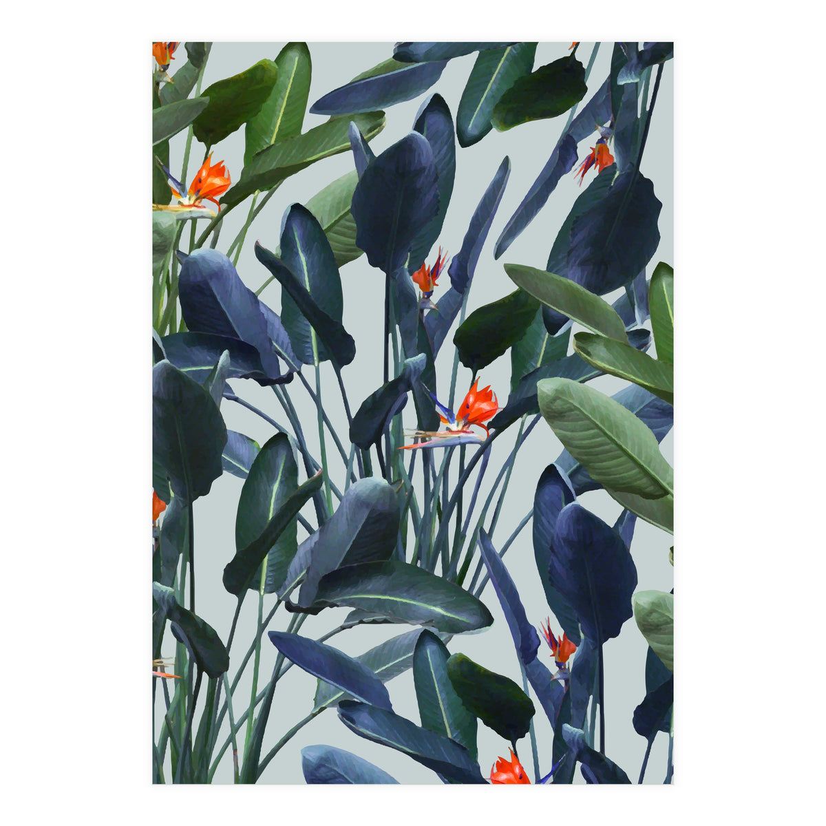 Optical Zen (Print Only)