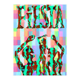Fiesta 23 (Print Only) thumbnail