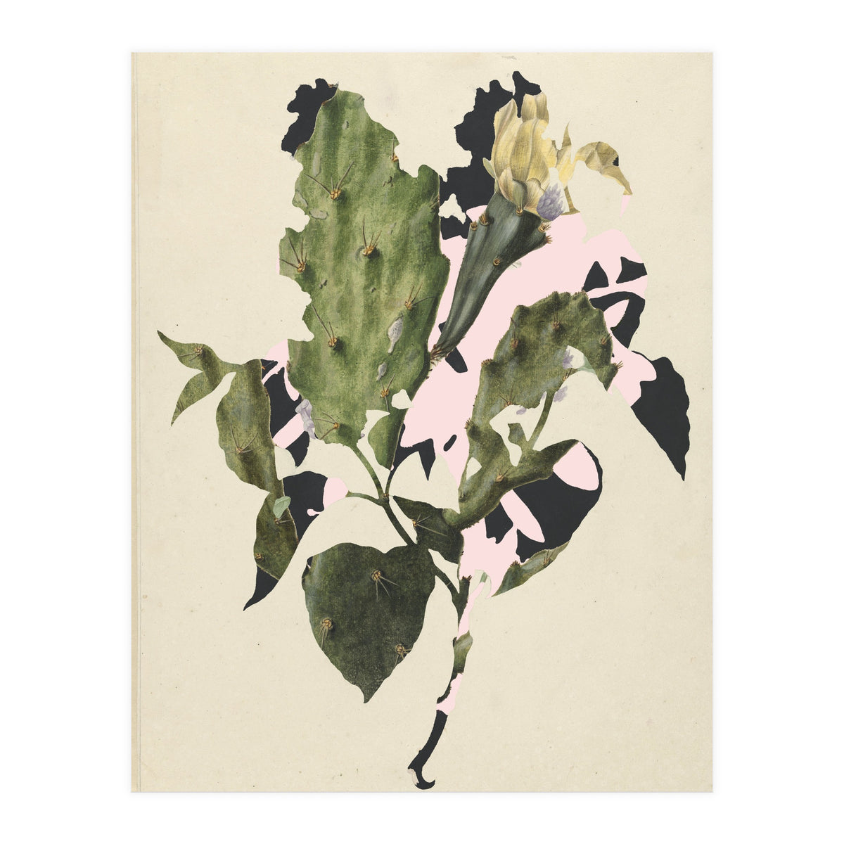 The First Plant · E3 (Print Only)