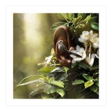 Sound Of Nature (Print Only) thumbnail