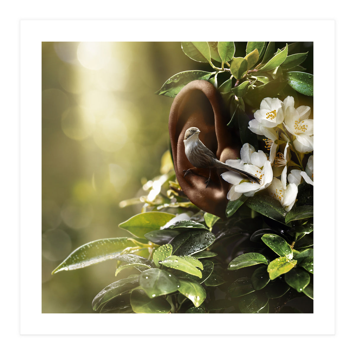 Sound Of Nature (Print Only)