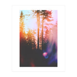 Finding Light (Print Only) thumbnail