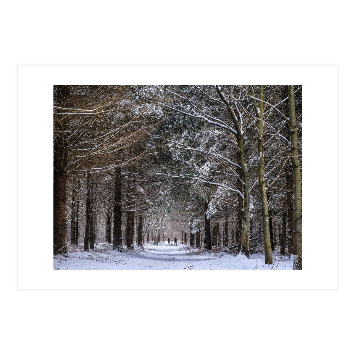 Dog Walkers in the Snow.  Heath Warren - Hampshire (Print Only)