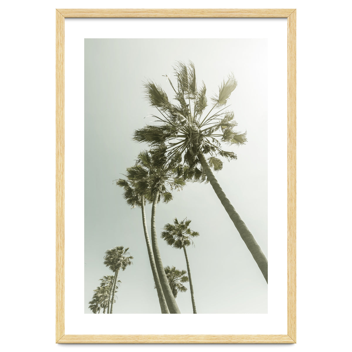 Vintage Palm Trees