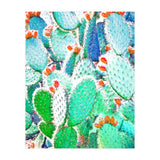 Painted Cactus (Print Only) thumbnail