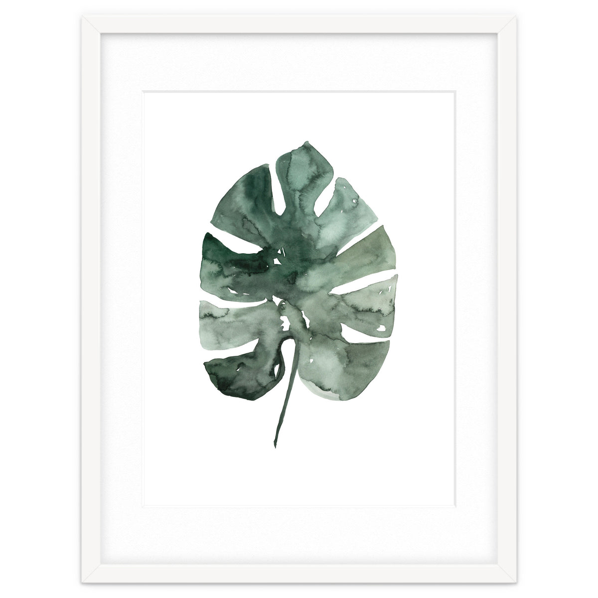 Botanical Illustration Monstera Leaf