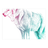 Wolf  (Print Only) thumbnail