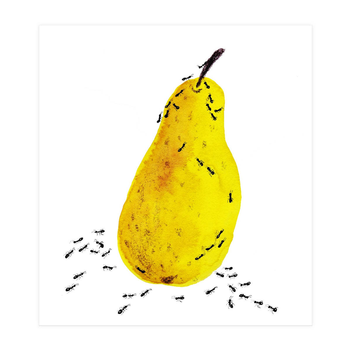 Funtime (Print Only)