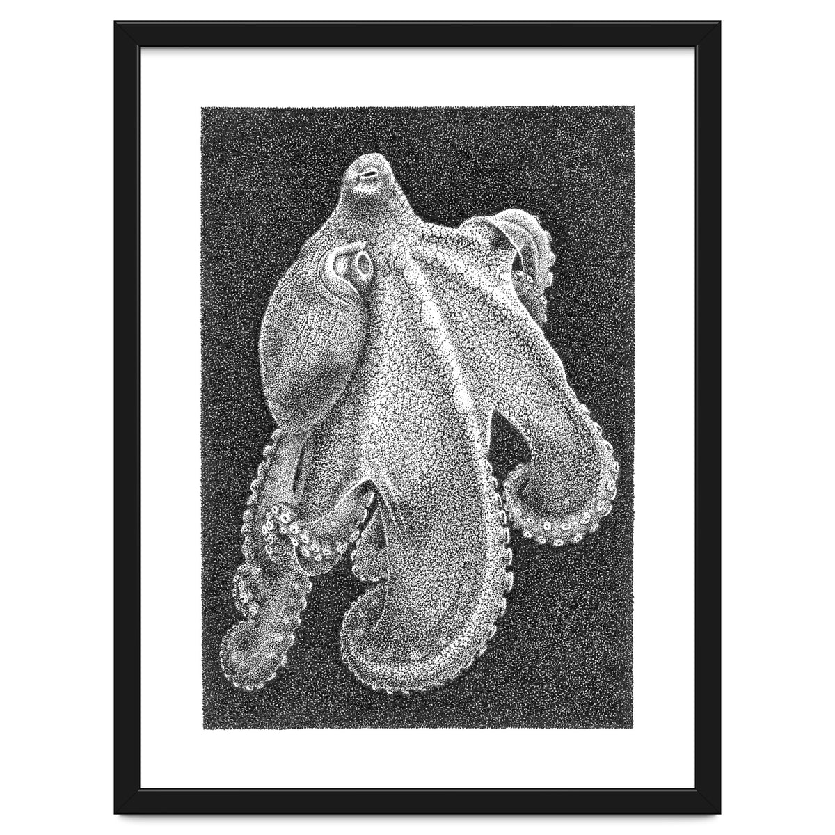 Octopus no. 2
