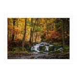 Selkewaterfal (Print Only) thumbnail
