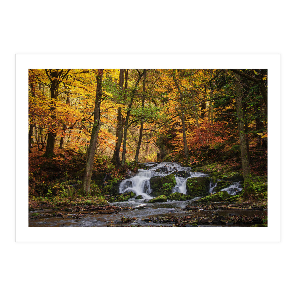 Selkewaterfal (Print Only)