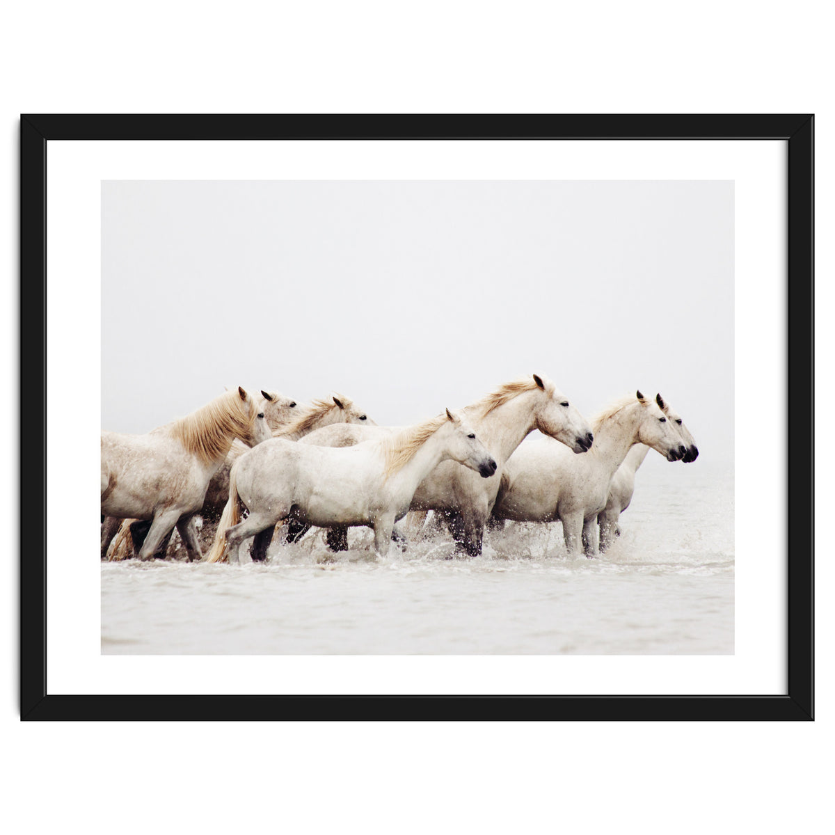 White Horses - Nature Photography