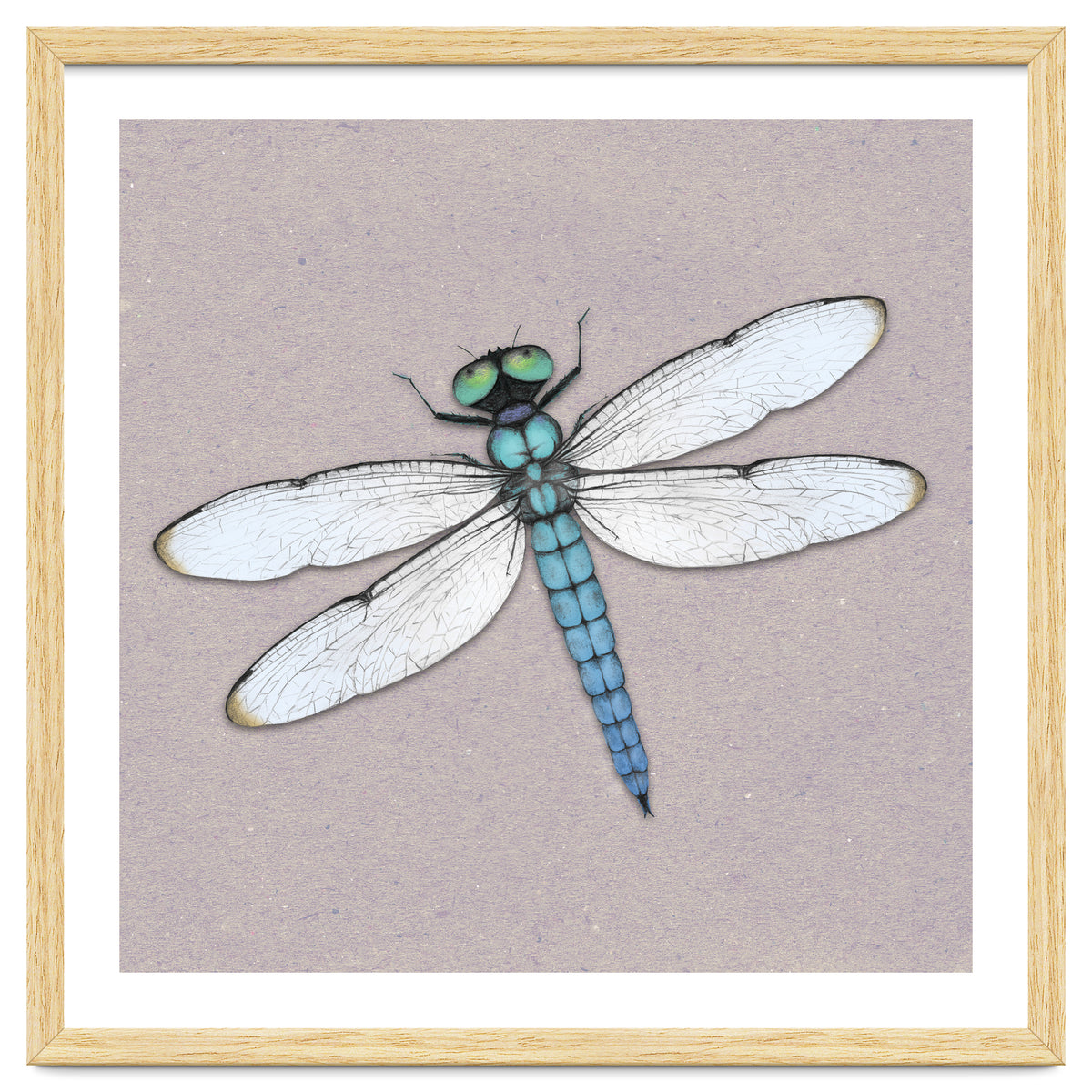 Blue dragonfly