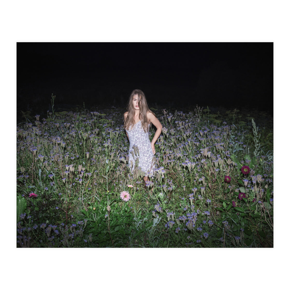 Insomnia (Print Only)