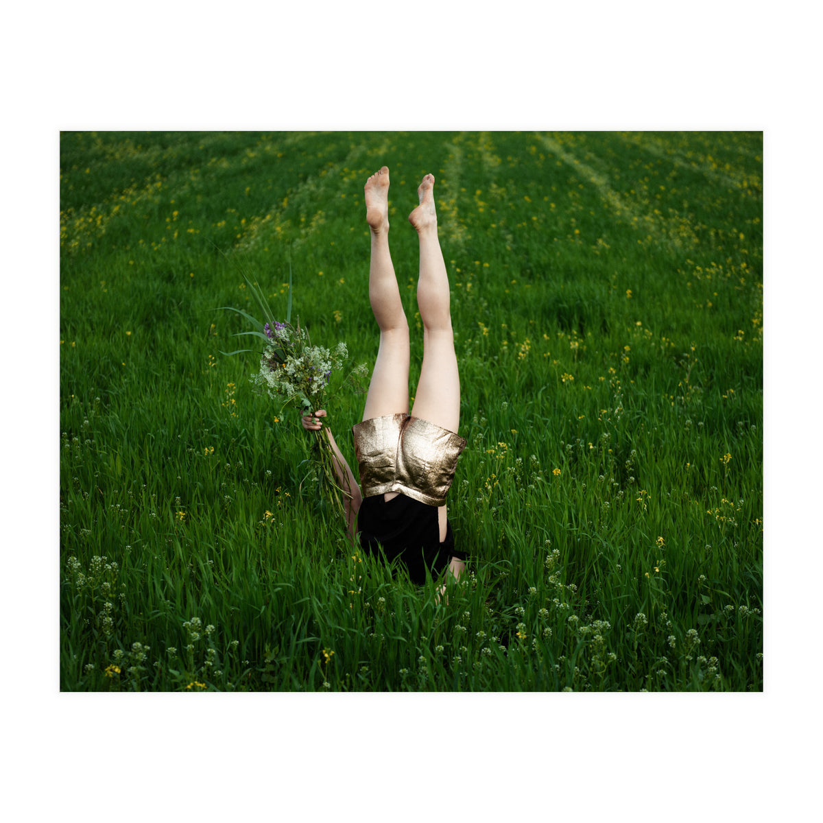 Gravity (Print Only)