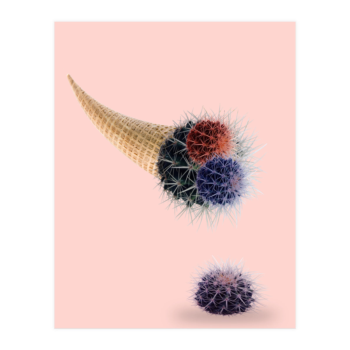 Cactus Cream 50x70 (Print Only)