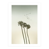 Vintage palm trees at sunset (Print Only) thumbnail