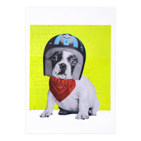 Easy Rider Dog (Print Only)