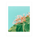 Carlie (Print Only) thumbnail