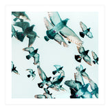 Rise (Print Only) thumbnail