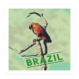 Eagle in Brazil (Print Only) thumbnail