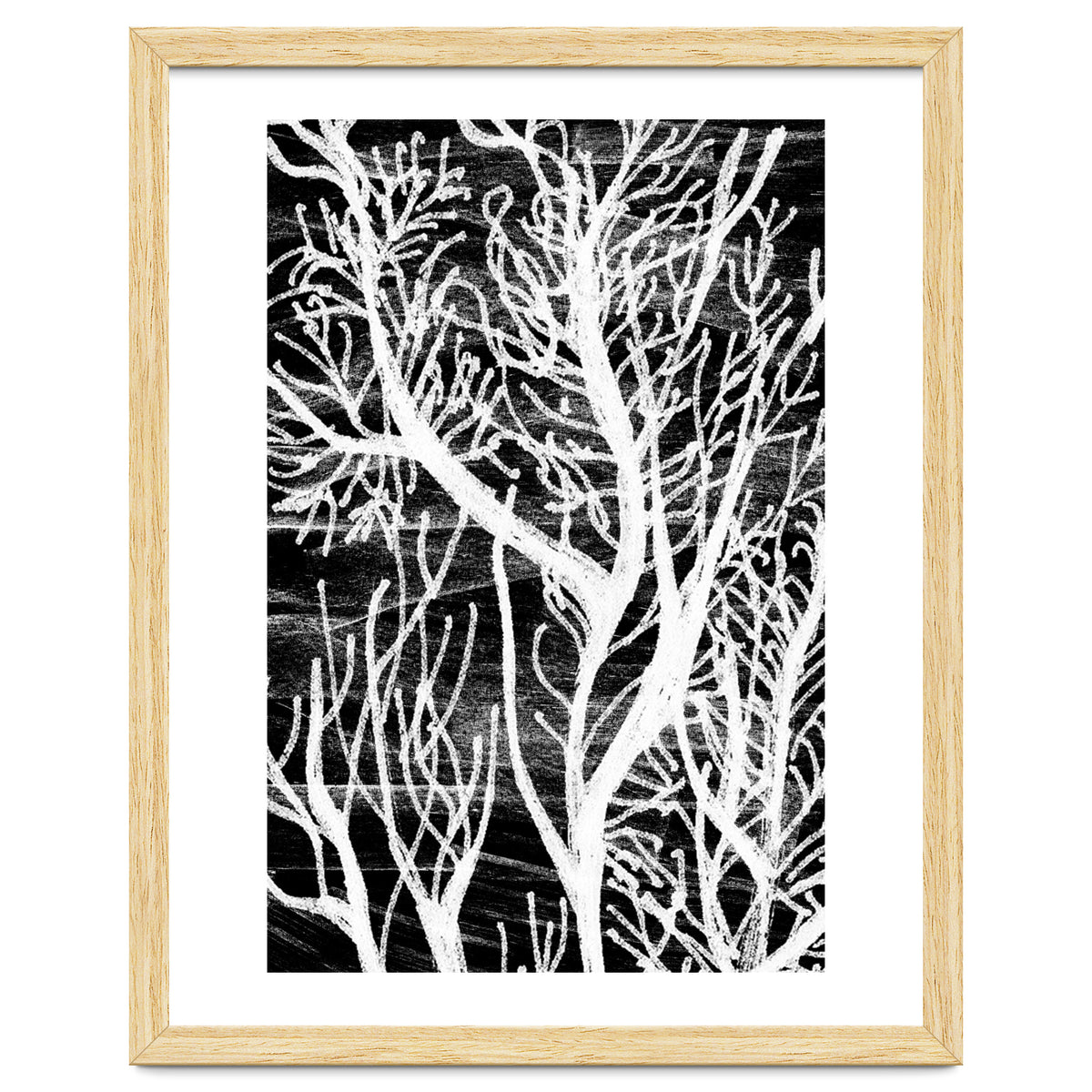 Desert Colours Collection 5