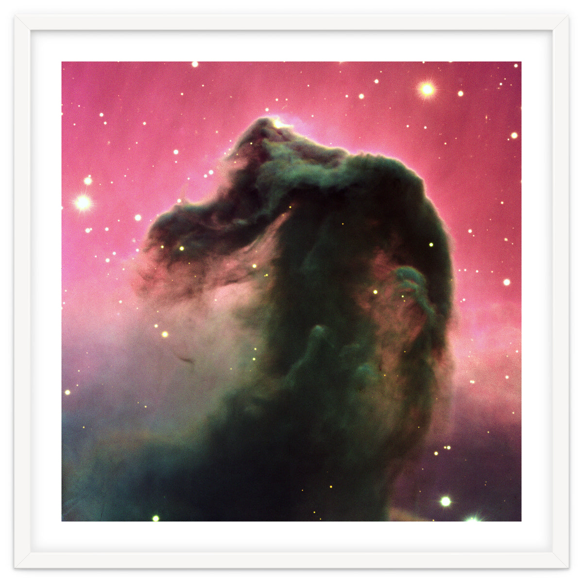 The Horsehead Nebula