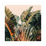 Hue (Print Only) thumbnail