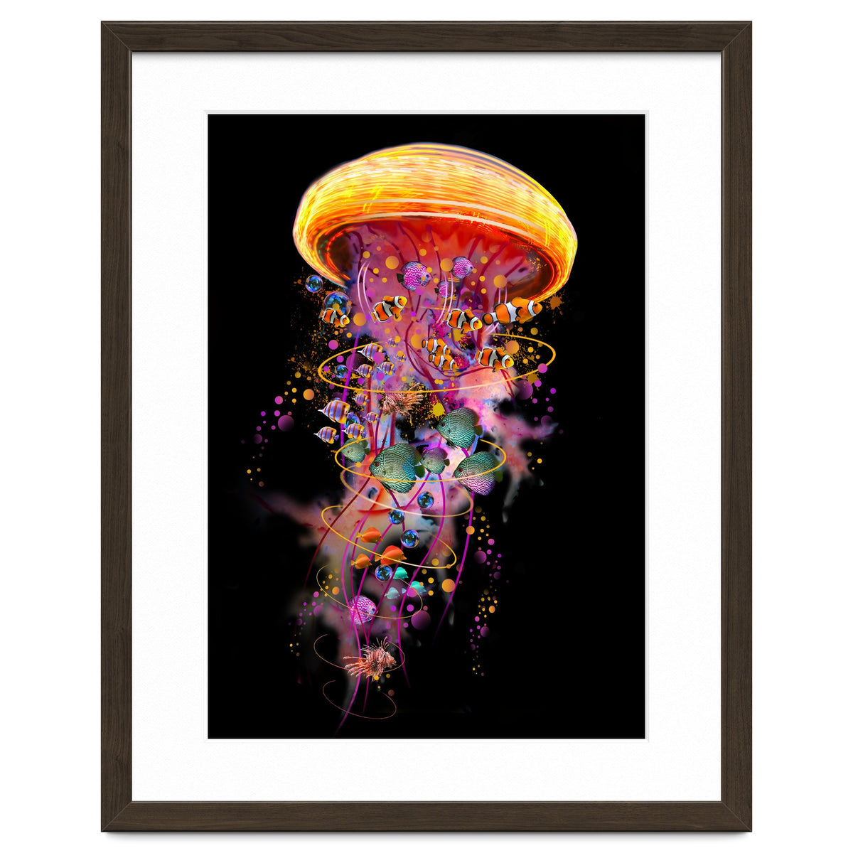 Jelly Fish Ride Summer2018 Dbh