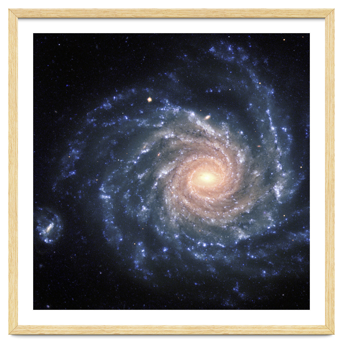 Spiral Galaxy NGC 1232