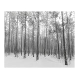 Let It Snow Forest (Print Only) thumbnail