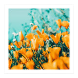 Nyla (Print Only) thumbnail