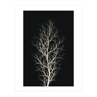 The Tree White (Print Only)