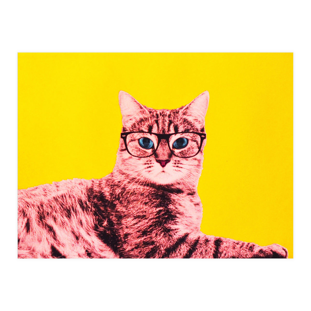 Life In Technicolor (Print Only)