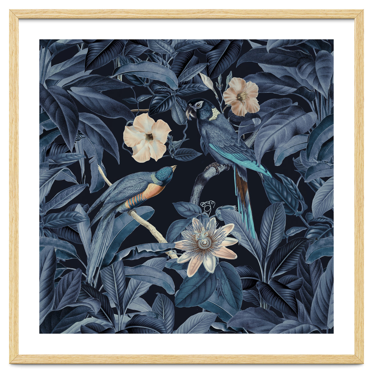 Exotic Jungle Birds At Night