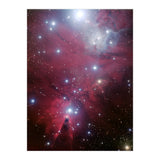 The Christmas Tree Cluster (Print Only) thumbnail
